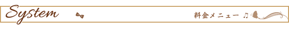 料金メニュー
